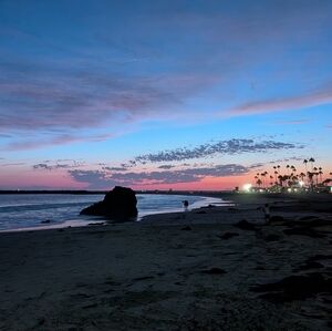 Meet your Posher, Sydney